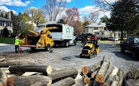 Leaf Removal